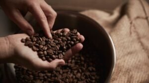 An elegant bowl of roasted coffee grounds on a modern kitchen countertop.