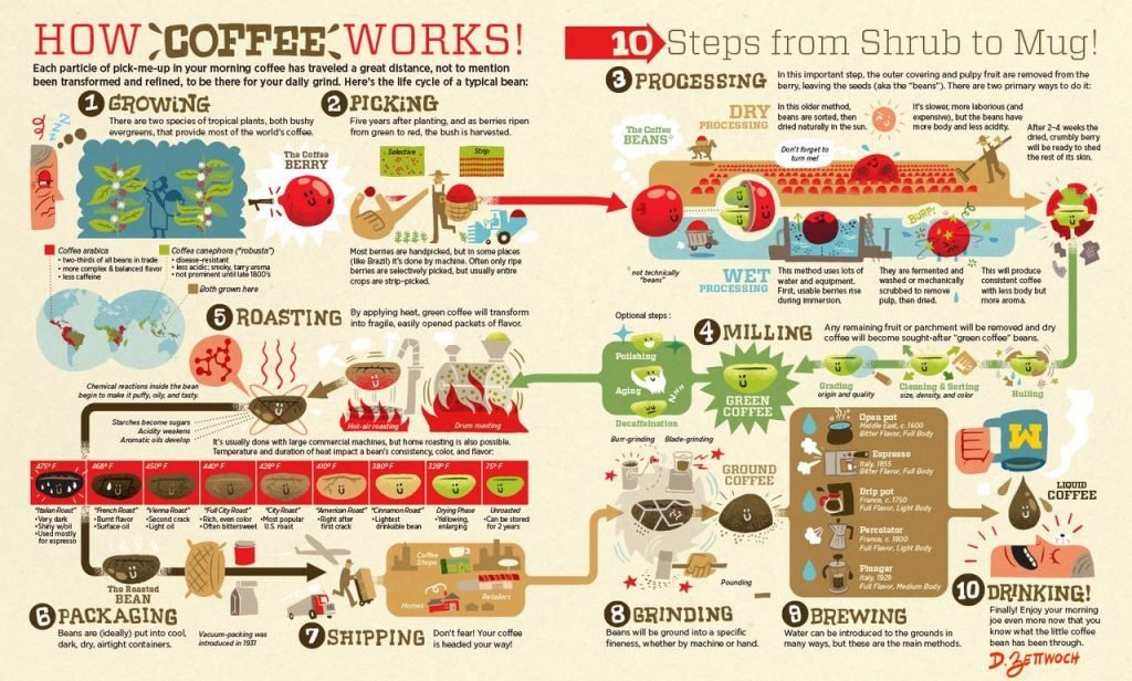 Vibrant red coffee cherries and raw green beans displayed on a rustic wooden surface.