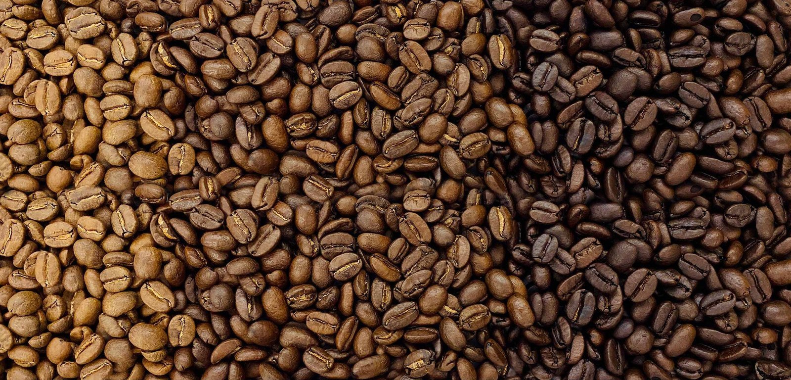 A clean workspace with coffee equipment representing common questions about medium roast coffee strength.