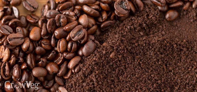 Professional tools for grinding coffee beans arranged neatly on a marble kitchen surface.