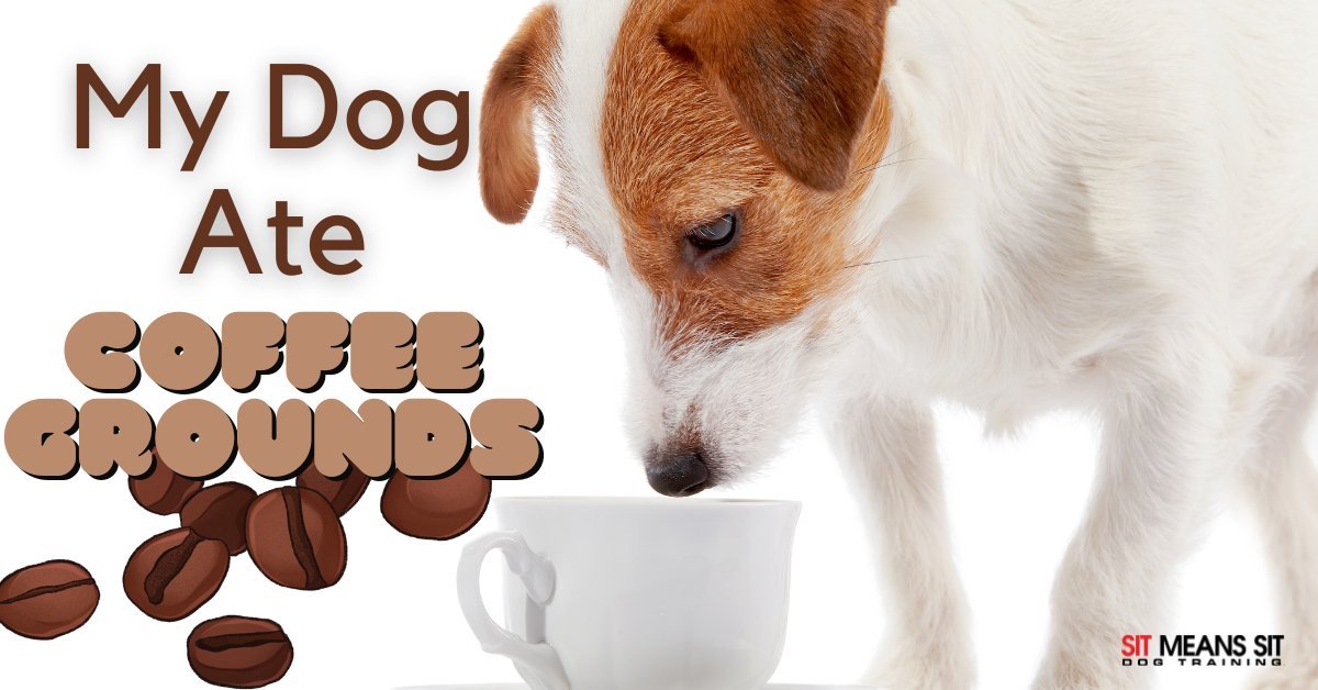 A spoonful of coffee grounds is prepared to be mixed into yogurt.