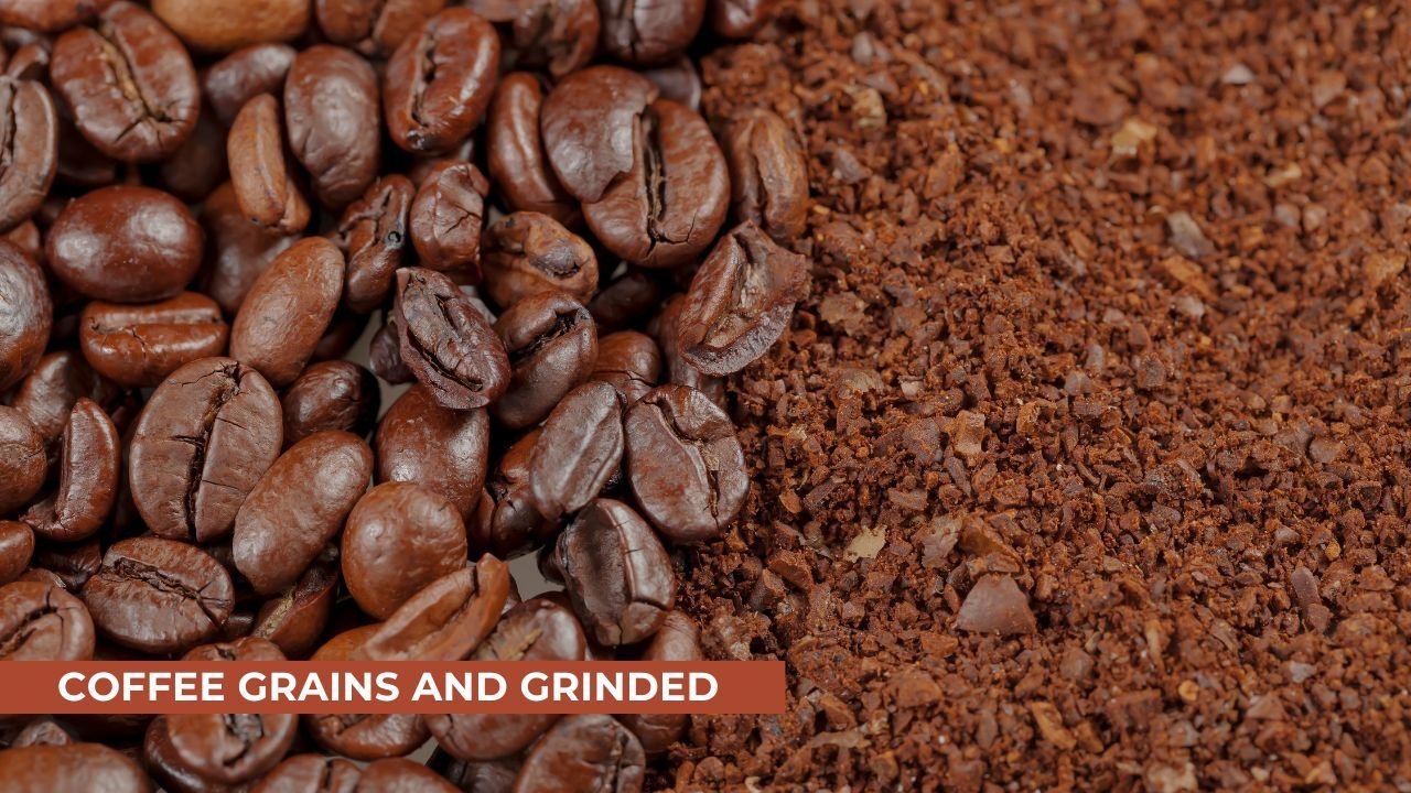Comparing inconsistent coffee grounds to show common mistakes made during the grinding process.