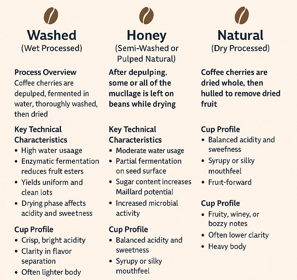 A professional coffee brewing setup used for answering common questions about coffee processing methods.