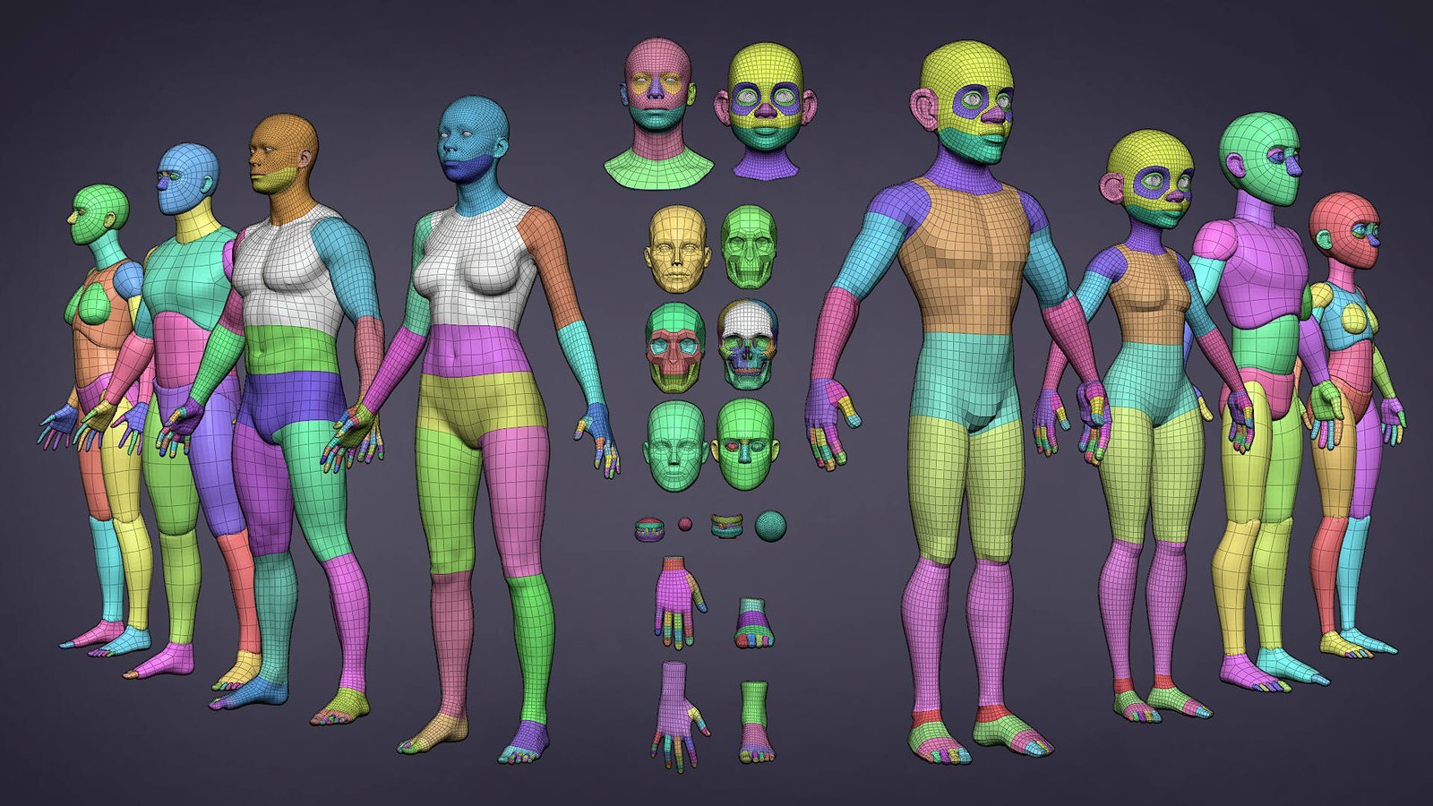 A professional 3D character mesh display showing clean topology in a bright design studio.