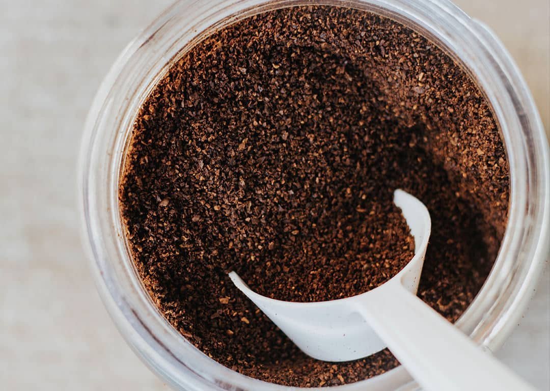 Damp coffee grounds stored improperly in a glass jar next to a houseplant.