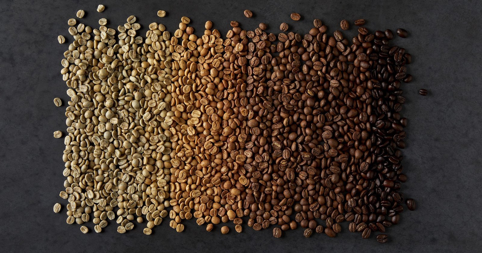 Close-up of matte medium roast coffee beans next to shiny dark roast beans.