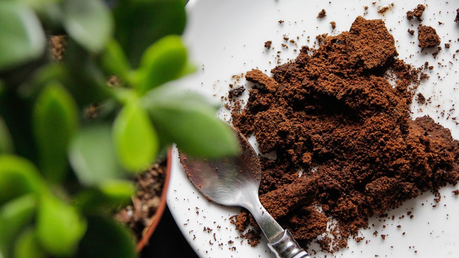 Various textures of ground coffee displayed for different application methods.