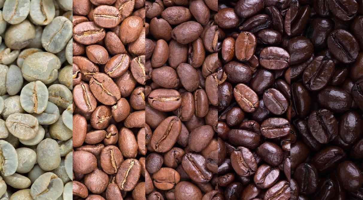 Close up view of medium dark roast coffee beans showing visible surface oils.