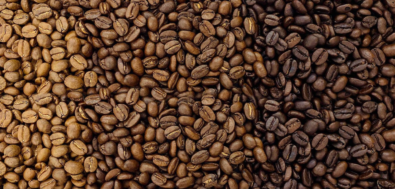 A barista measuring coffee beans to highlight how brewing variables change the roast profile.