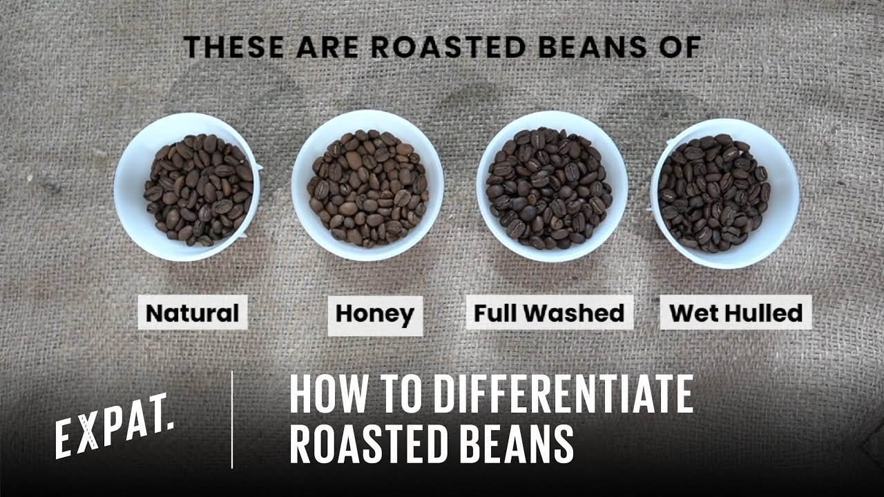 Modern coffee processing equipment used for natural and washed bean production.