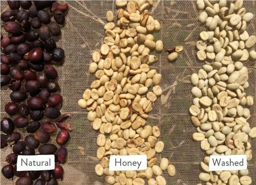 Two bowls of raw coffee beans showing the difference between washed and natural coffee.