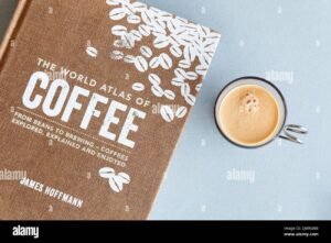A professional pour-over coffee setup showing the process of making coffee.
