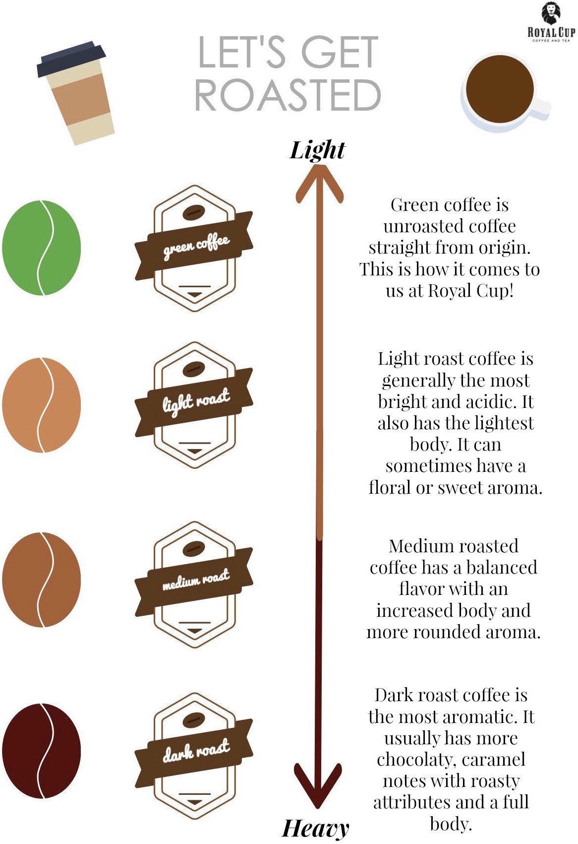 Brewing equipment neatly arranged on a tray for a coffee FAQ guide.