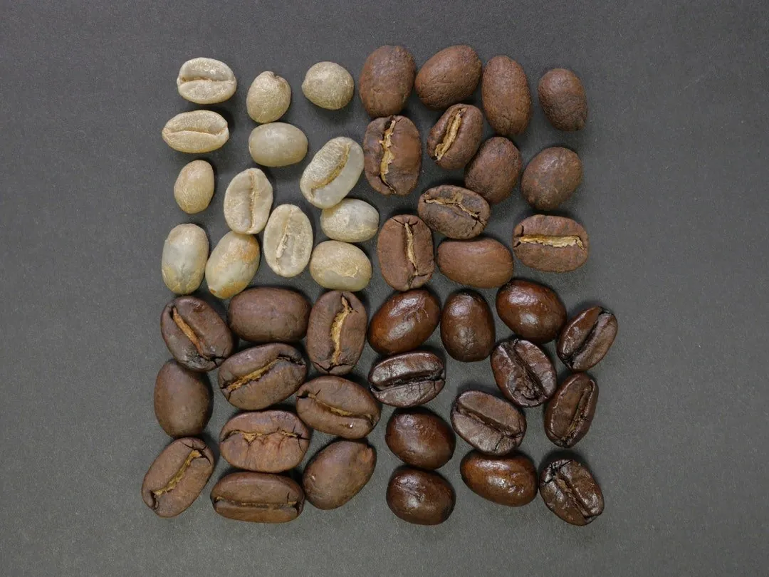 Coffee bag with roast date and burr grinder showing consistent ground beans.