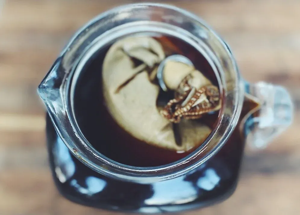 Three bowls showing light, medium, and dark roast coffee for cold brew.