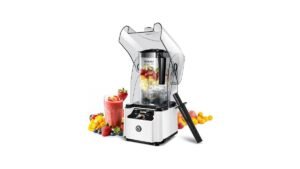 WantJoin Commercial Professional Blender